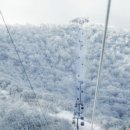 발왕산 관광케이블카 코스 이미지