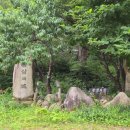 환상의성 | 양양 단체펜션 추천! 환상의성 펜션 은행나무방 2박 3일 후기 (어른 11명 + 아이 4명)