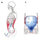 에스핏 피티 필라테스 이미지
