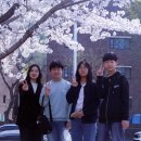 재궁공원 이미지