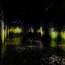 아르떼뮤지엄 이미지