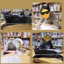 중곡3동 학습나루터 ★책으로 통하는 독서 토론★ | [수업후기][수업안내]한우리 중등 독서토론논술_중학생이여,책을 놓지 말자!_학습과 소통의 능력을...