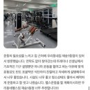 싸움의 고수 부산재송점 | 재송동헬스장/재송동pt-만족도 최상의 재송동헬스장 !