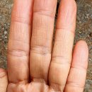 다래산장 이미지