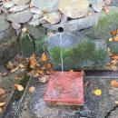 약진로변 이미지