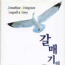 선영사 이미지