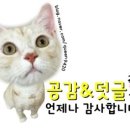 메이플동물병원 이미지