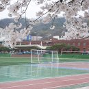 2014 서울대 수시합격자 고교 톱100 이미지