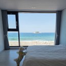 플레이스에이 | [속초] 바다 바로 앞! 반려견 동반 숙소 '에이플레이스' 솔직 후기