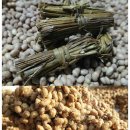 뜰안에 황토 이미지