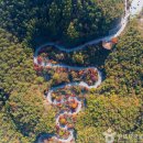 🏹 단양 보발재 😼 이미지