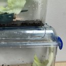 수능콘서트 - 십센치 이미지