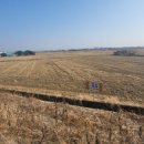 올리브부동산중개사무소 이미지