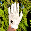 파워골프 | 몬스터파워 골프장갑 : 기능성 파워쿠션 비거리장갑