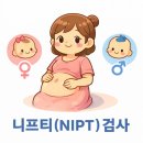 서울의과학연구소 | 임신12주차 해피버스 니프티 검사(NIPT) 비용 및 결과 기간 후기. 니프티 재검까지 ㅠㅠ
