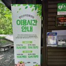 잣나무 | 영인산 자연휴양림 숲속의집 '잣나무' 숙박 후기｜초1 아이와 여름 숲캉스 다녀왔어요