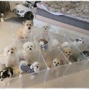 어뮤즈 호텔 이미지