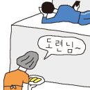 도련님