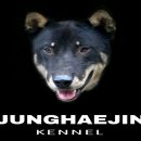 백호켄넬 이미지