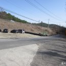 경북대학교자연사박물관 이미지