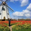 암처럼 무서운병 어지럼증 이미지