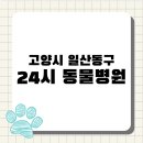 Dr.dog동물의료센터 | [전국 24시 동물병원 지도 #15] 고양시 일산동구 편 : 응급 진료 가능한 동물병원 리스트
