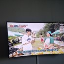 잠시후 9시반 MBN 매일아침 신성 알바니 방송됩니다 이미지