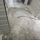 방촌화원