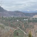 오지할머니 | 캠핑기록• 영월 쉼오지 캠프(재방문 의사 1000% 강원도 고지 캠핑장 !)