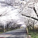 강진베이스볼파크펜션 이미지