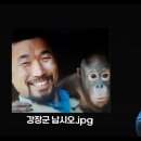 판다북 이미지