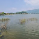 내가초교 이미지