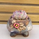 모란모란 이미지