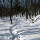 도봉 역사문화 길(1코스-연산군묘와 은행나무 길) 이미지