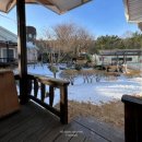 청남대 별장 펜션 이미지