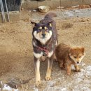 고노골농장 이미지