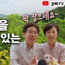 2년간 실버타운을 체험할 수 있는 기회! / 고창 힐링카운티 / 공빠TV 이미지