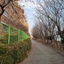 송리단펜션 | 업보빔 제대로 맞은 나