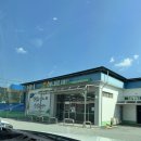 마리장풍숲 이미지