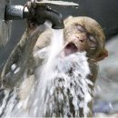 고봉약국 이미지