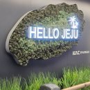 남당카 | 6월제주 day1