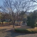 죽마을 - 은평구 | 죽마을