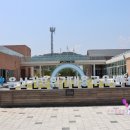해뜨미밥상 | 울산) 꿀잼인 가족 체험이 무료라니? :: 기후위기대응교육센터(+해뜨미도시락,꼬마농부학교)