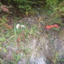 철암초등학교 이미지