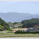 평화마을아파트경로당 네이버블로그