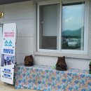 법인청도숲