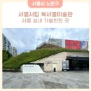 서울시립북서울미술관(동일로 1238) 버스정류장 | 서울시립 북서울미술관 서울 노원 실내 가볼만한곳 무료전시 정보