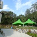 바바벨리 이미지