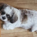 무학로-2 이미지