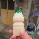 경산/국수 맛집 - 맛있는 국수 전문점 '국시집' 간단 후기.